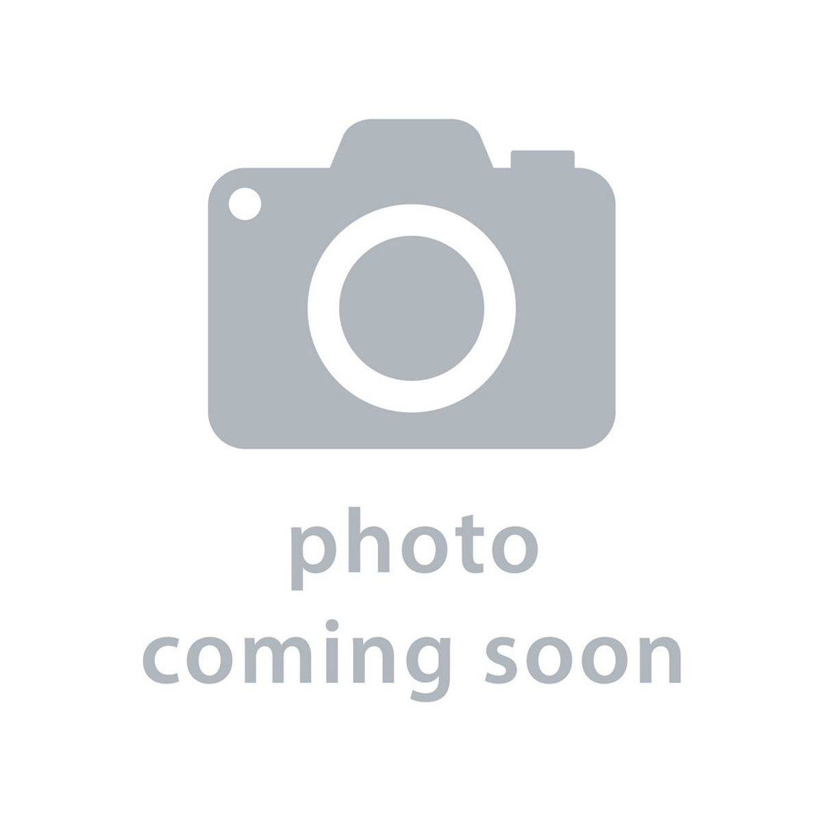 Glow-worm Electric Motor Pump 0010030018