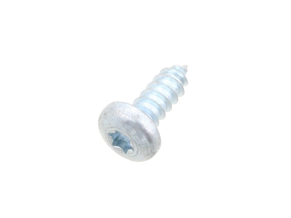 Glow-worm Screw (PK25) 0020014719