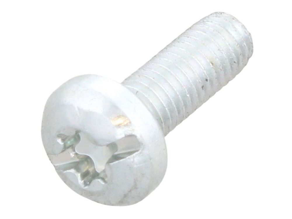 Glow-worm Screw (Pk 10) 0020018447