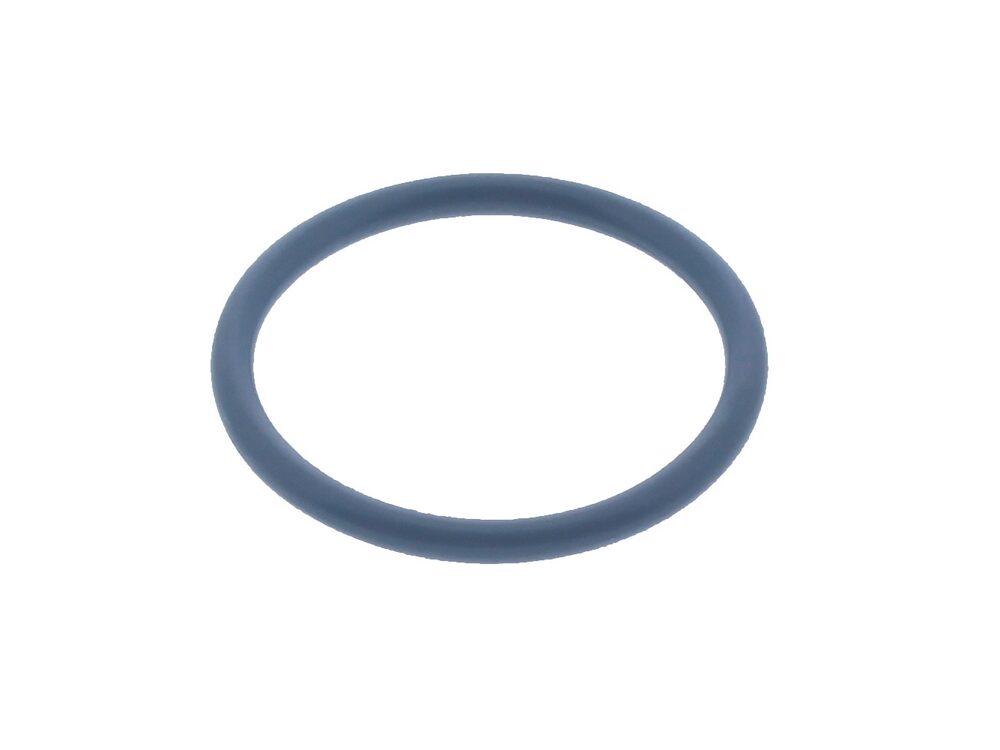 Glow-worm O-Ring 0020020724