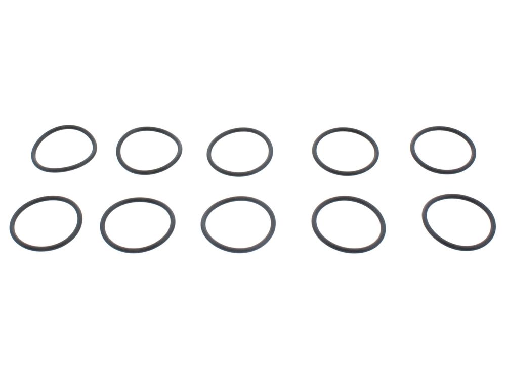 Glow-worm O-Ring (Pack of 10) 0020097226
