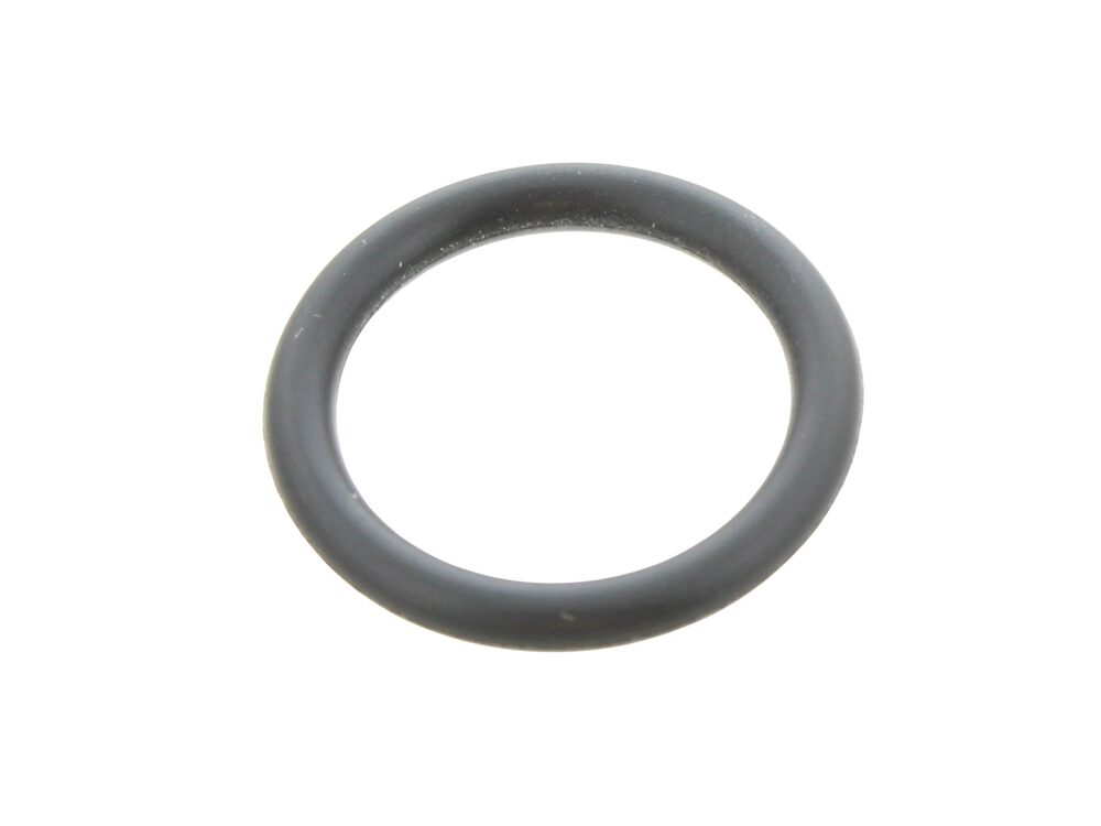 Glow-worm O-Ring 0020125448
