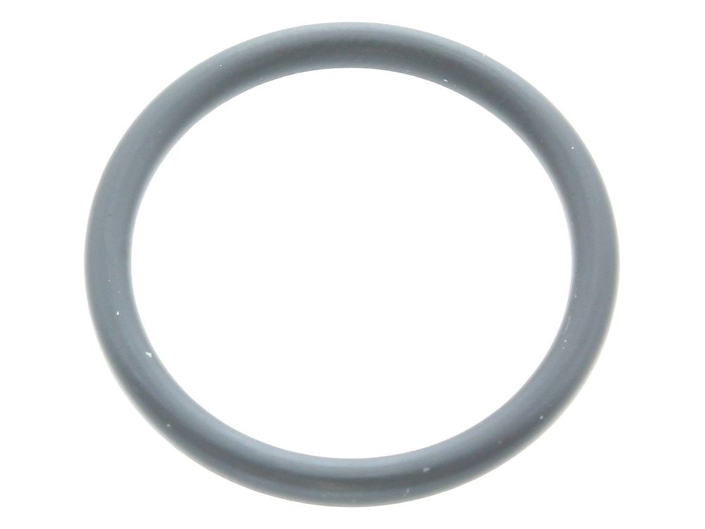 Vaillant O-Ring 0020133834