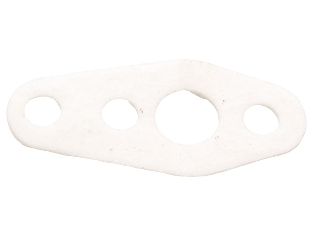 Vaillant Electrode Gasket 0020195491