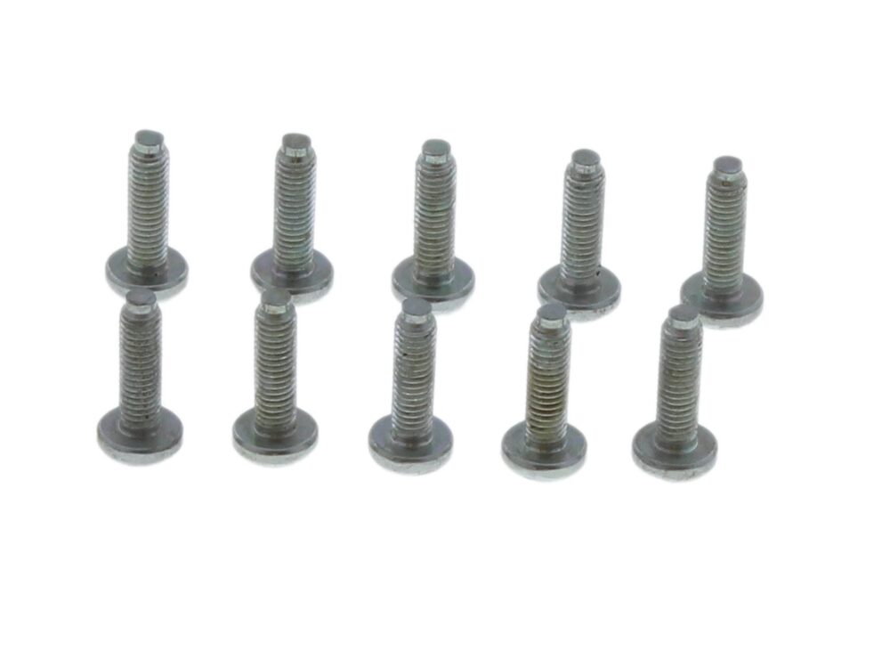 Vaillant Lens Head Screw 178967