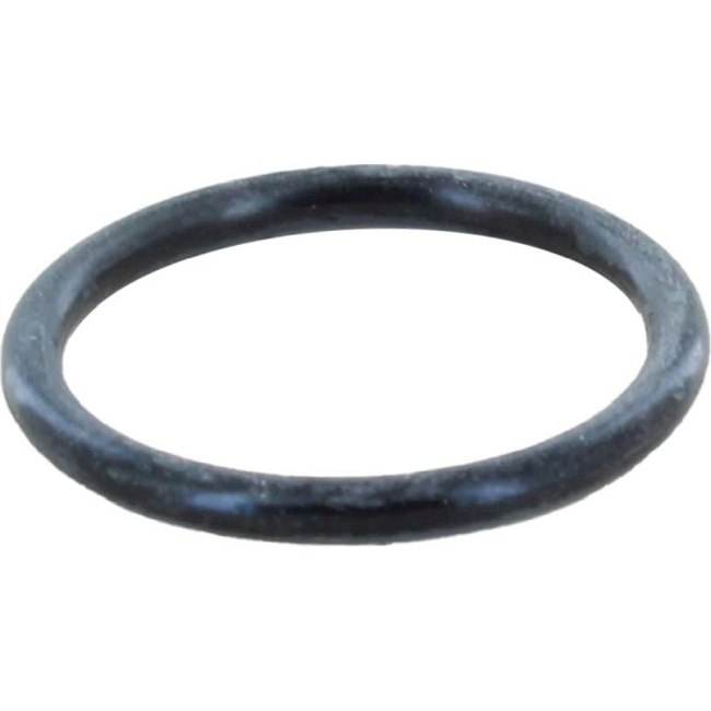 Navien O-Ring EWK270