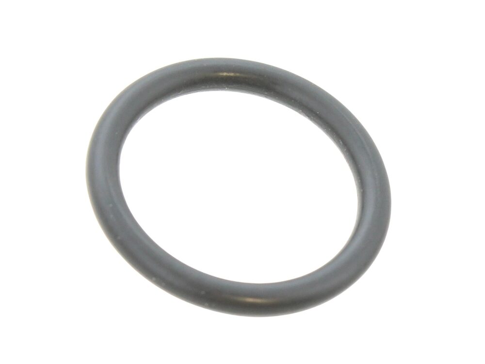Ferroli O-Ring Pump Assembly 39844180