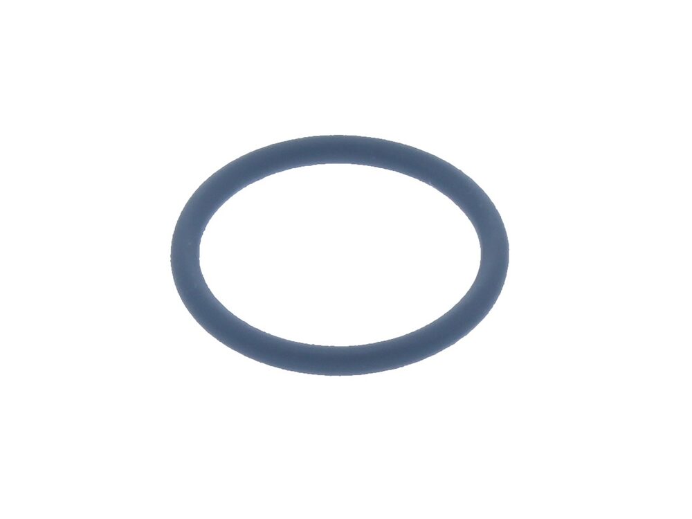 Ariston O-Ring 571965
