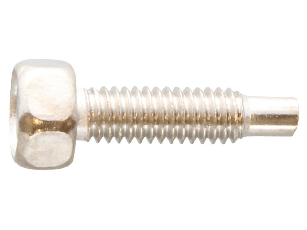 Main Screw M4 x 10mm x 5mm 670209