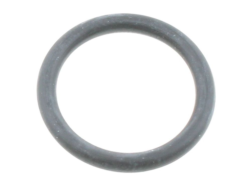 Glow-worm O-Ring 801626