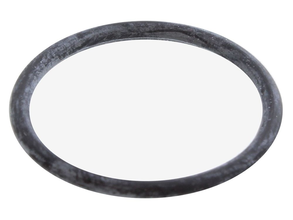 Glow-worm O-Ring 801672