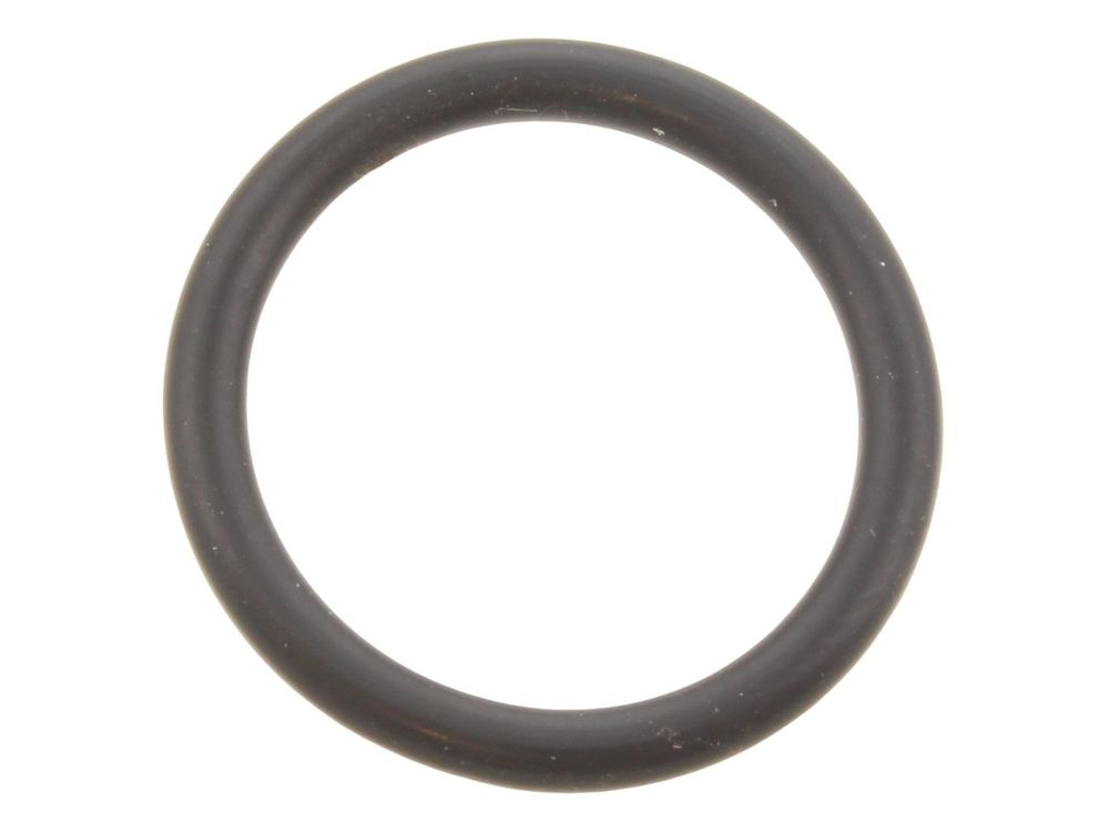 Worcester Bosch O-Ring Greenstar RSF 87102050570