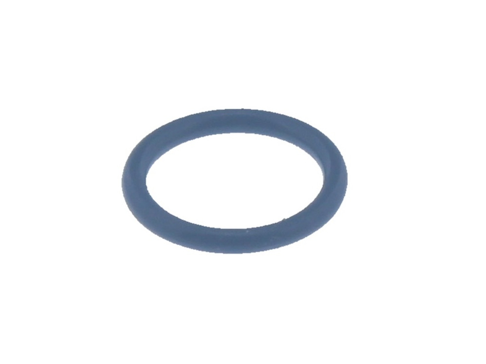 Worcester Bosch O-Ring 87161057770
