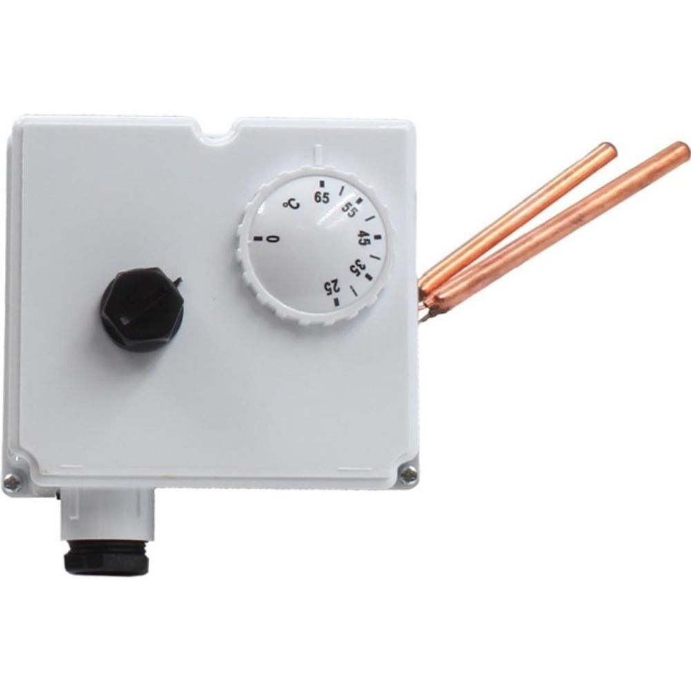 Worcester Bosch Dual Thermostat 87161134110