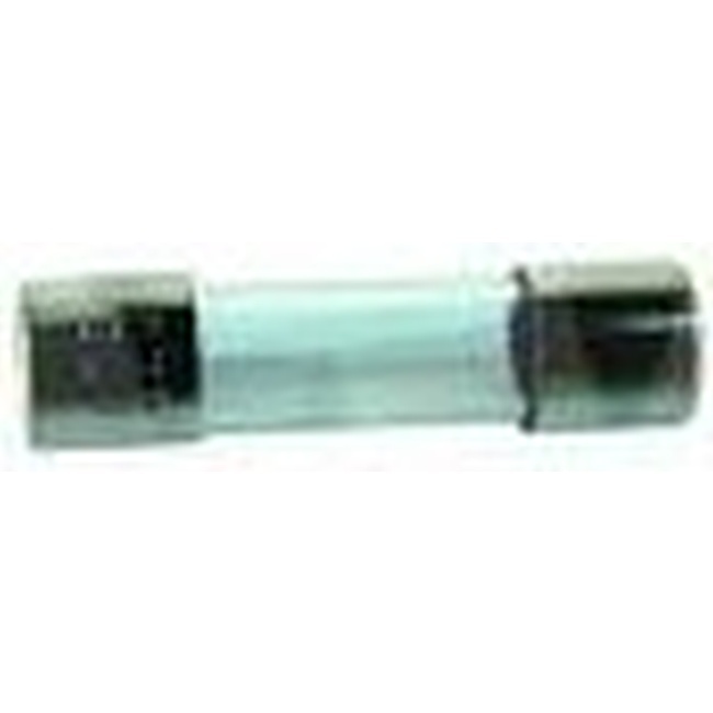 Worcester Bosch Fuse 315mA Anti-Surge 20mm 87161560100