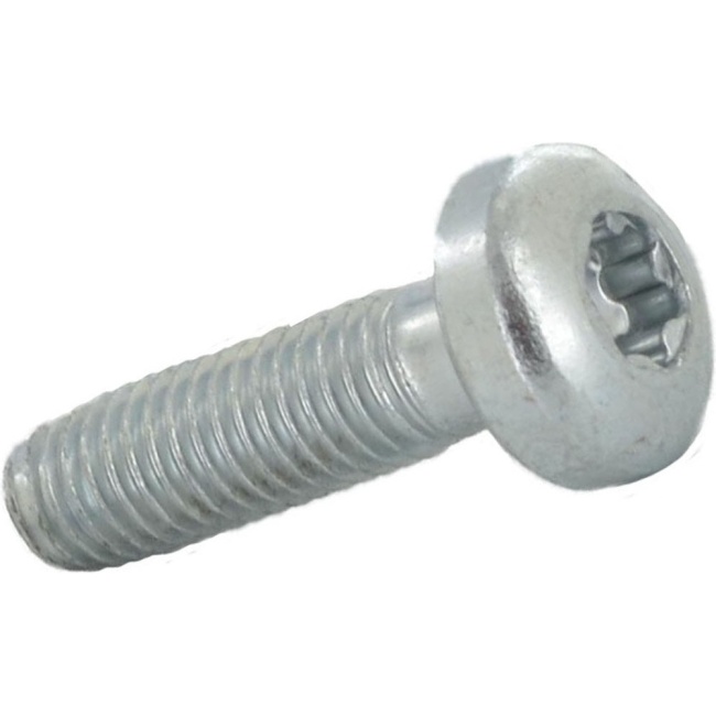 Worcester Bosch Pan Head Screw M5 x 9mm Torx 87186863360