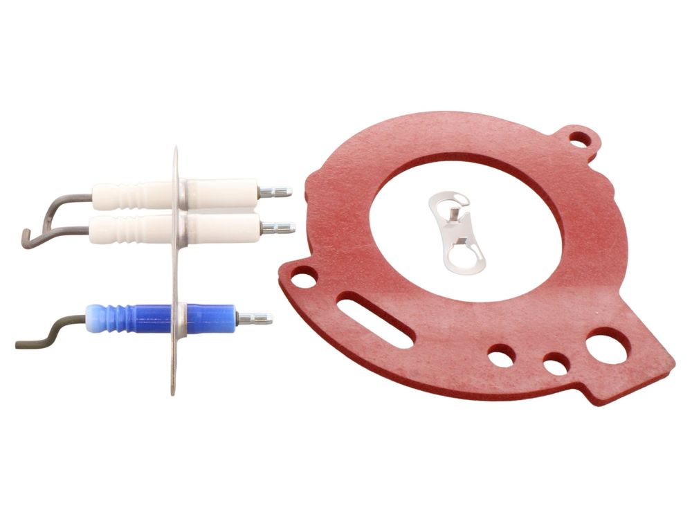 Worcester Bosch Electrodes 87376007950