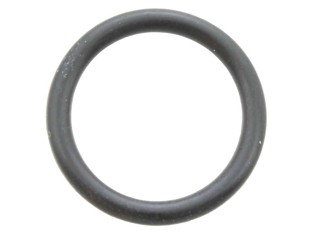 Glow-worm O-Ring 18mm Gas Connection A000035169