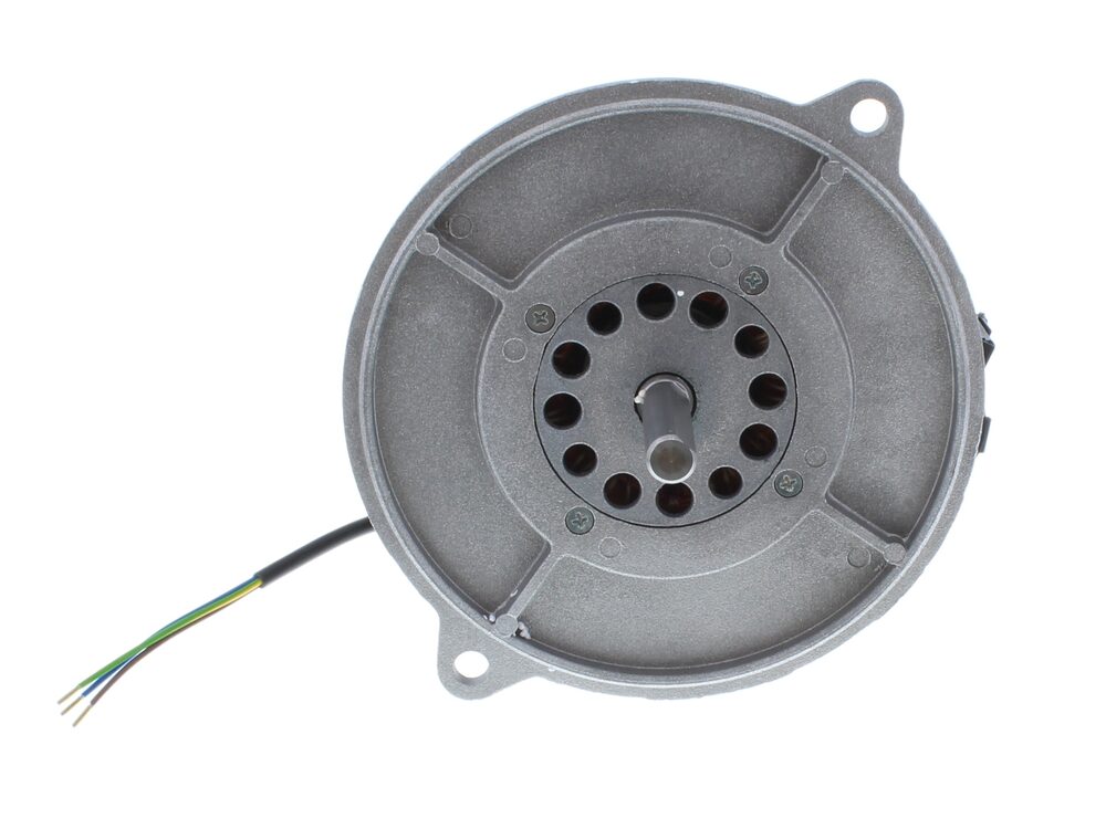 Nuway Electric Motor 250W A06013M