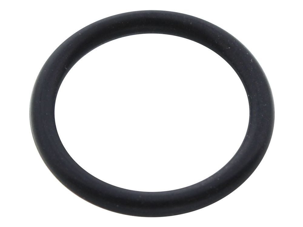 Biasi O-Ring Gasket BI1001115