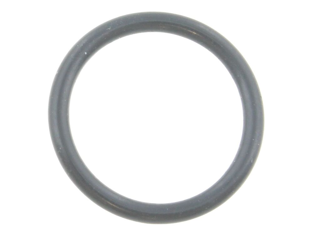 Biasi O-Ring Gasket BI1001129