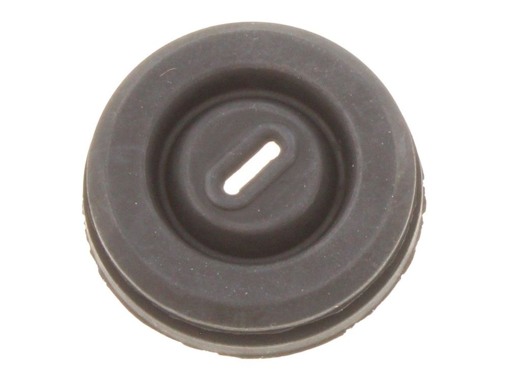 Biasi Grommet Seal BI1002115