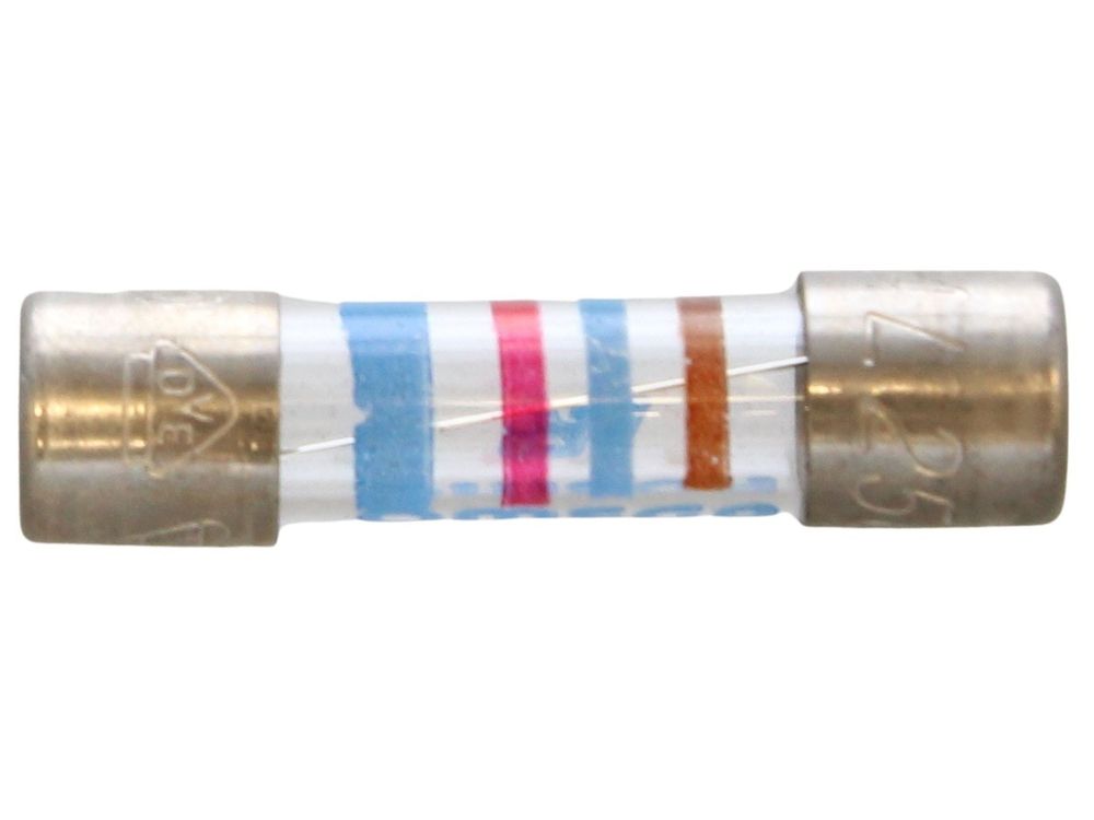 Biasi Fuse 1.6 Amp BI1005105