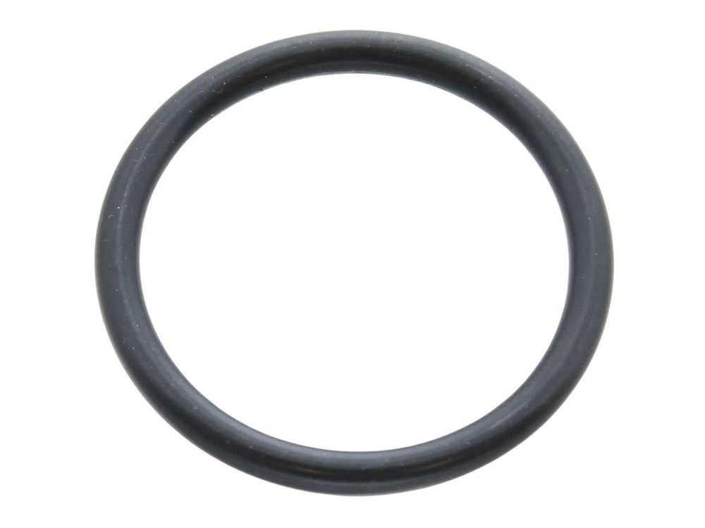 Biasi O-Ring Gasket BI1011107