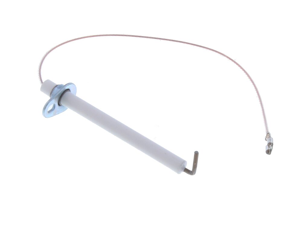 Biasi Detection Electrode BI1013102