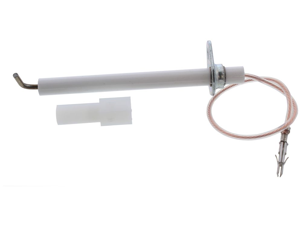 Biasi Detection Electrode BI1123102