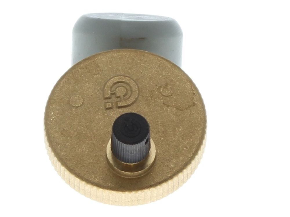 Biasi Automatic Air Purger Valve BI1172111