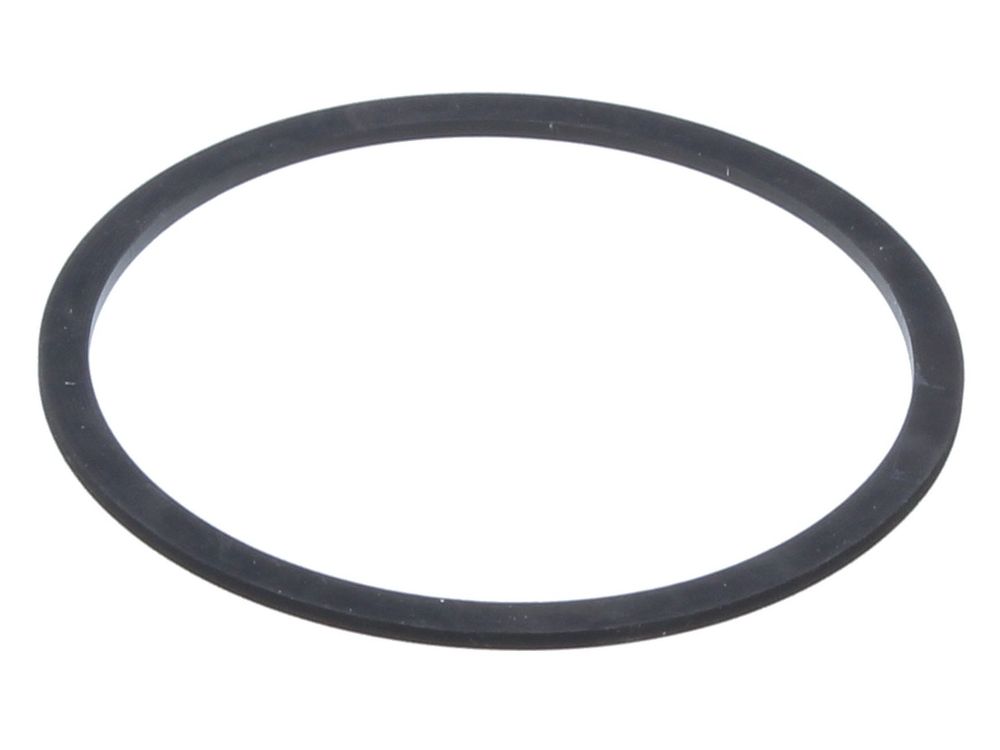 Biasi Pump Gasket Front BI1172113