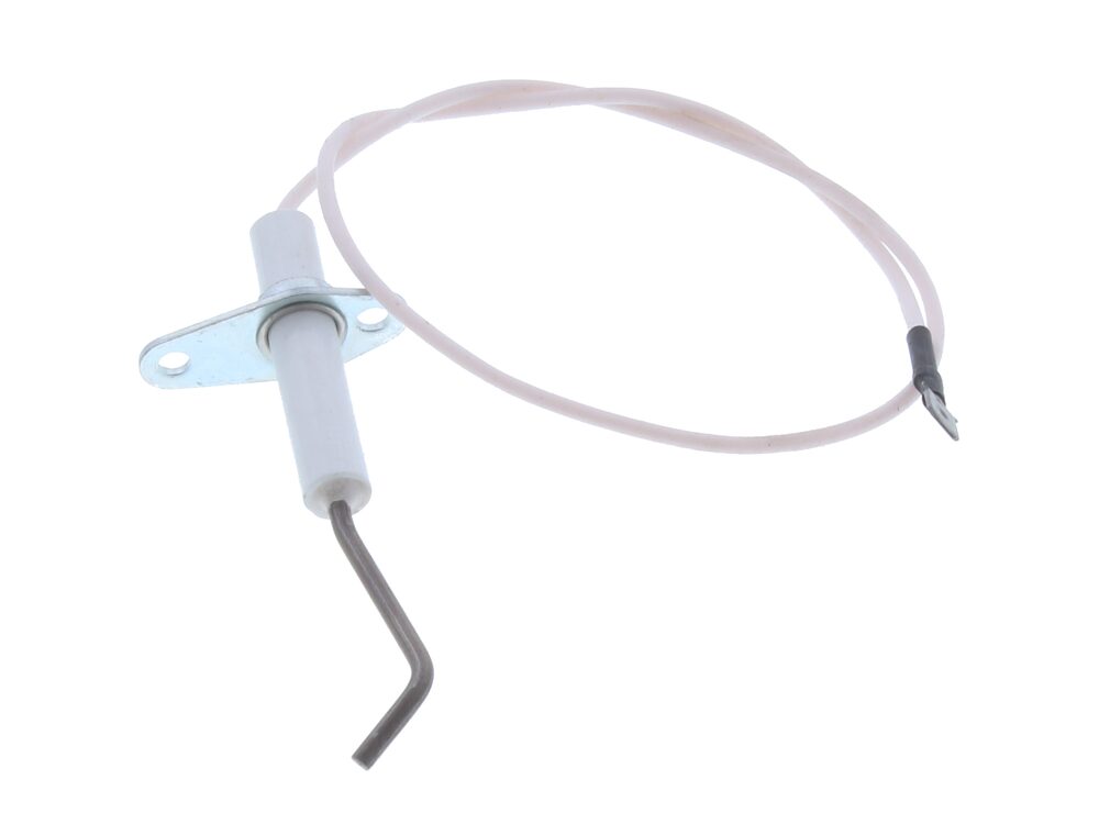 Biasi Detection Electrode BI1223104