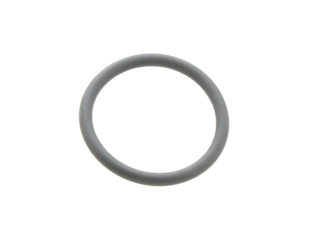Biasi O-Ring Gasket 2.62mm x 22.22mm NBR BI1253105