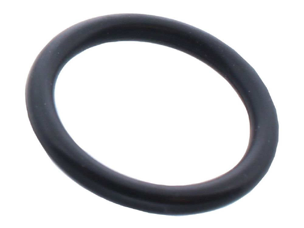 Biasi O-Ring Gasket BI1262112