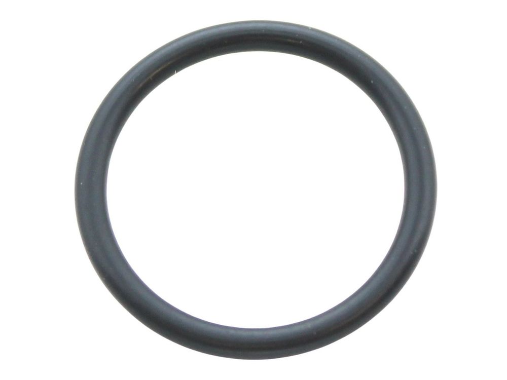 Biasi O-Ring Gasket BI1262114