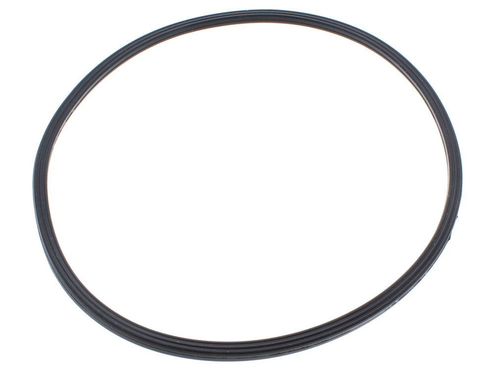 Biasi Combustion Chamber Lip Gasket BI1293108