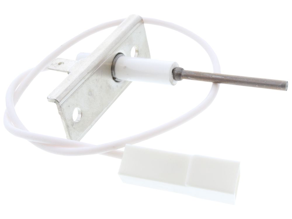 Biasi Detection Electrode BI1313104