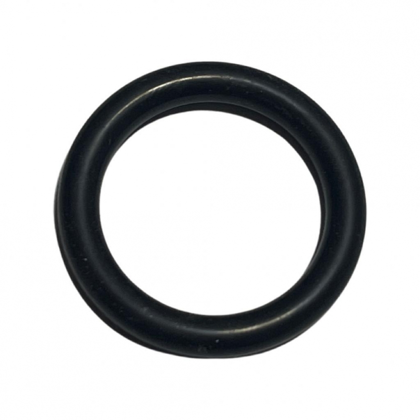 Glow-worm O-Ring Pack of 20 GLOWWORM2000801948