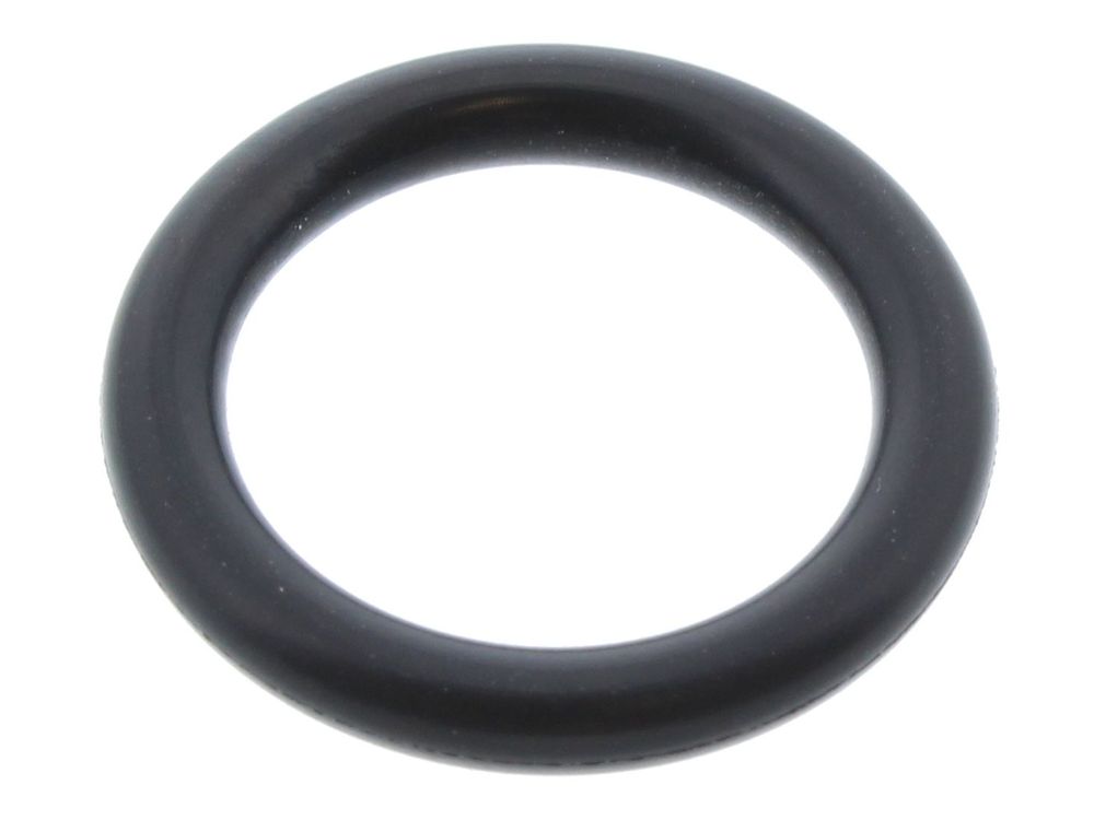 Biasi O-Ring Gasket KI1043144