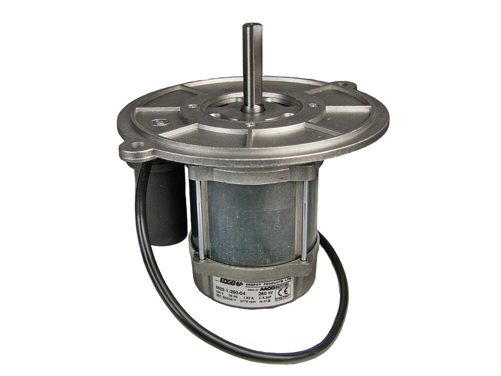EOGB Motor 250W 1Ph ZL2D D16 M02-1-250-04