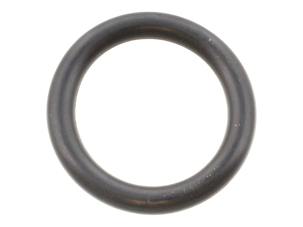 Ravenheat Pump O-Ring ORI150150