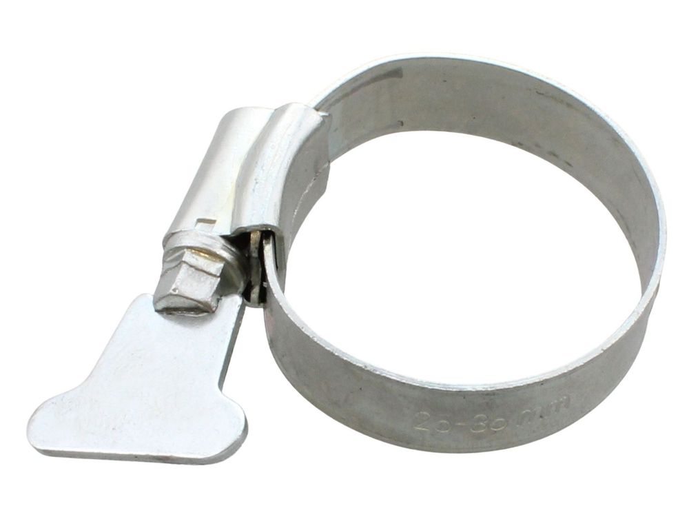 Regin Jubilee Hose Clip With Wing Screw REGQ835