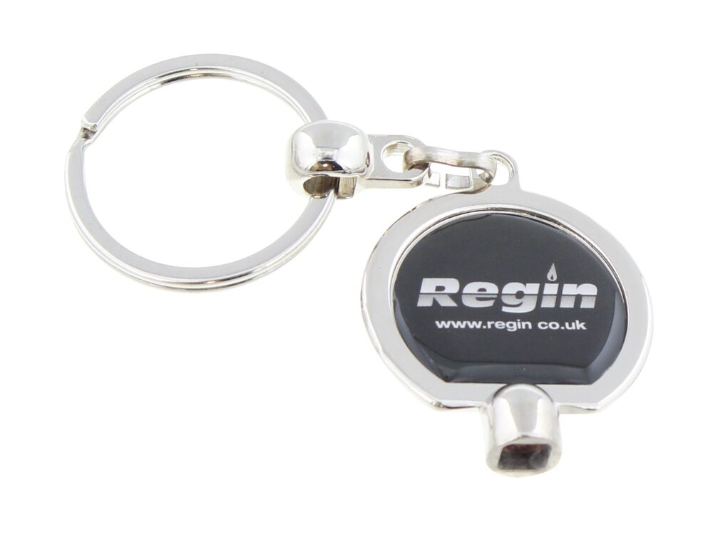 Regin Radiator Key Ring REGR13