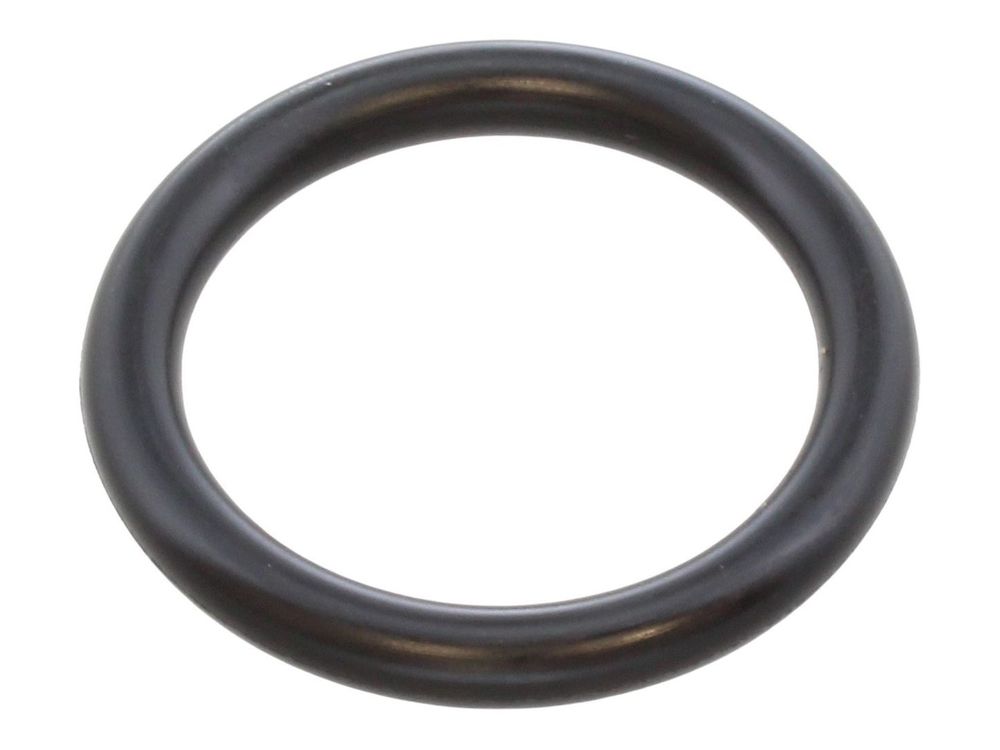 Glow-worm O-Ring S208732